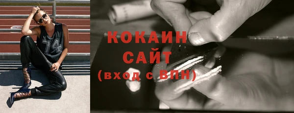 дживик Слюдянка