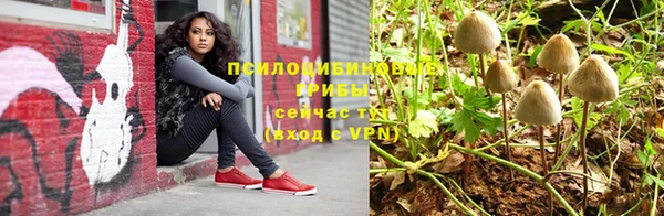 прущая мука Абдулино