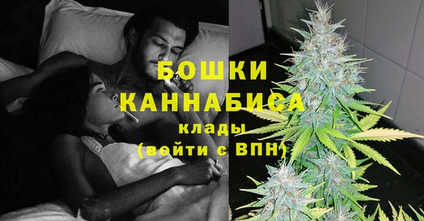 бошки Снежногорск