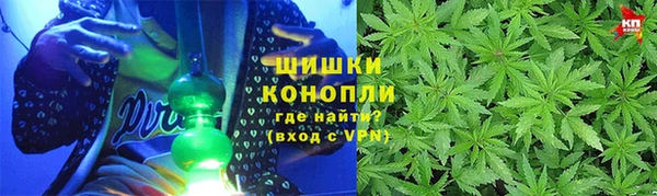 бошки Снежногорск