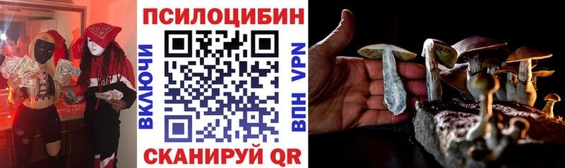 darknet как зайти  даркнет сайт  Бугуруслан  Псилоцибиновые грибы Magic Shrooms 